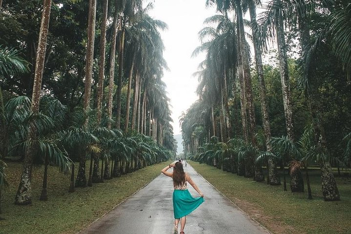 Royal Botanical Garden, kandy, Srilanka